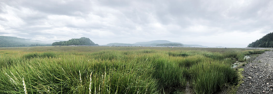 Gaspesie Nationalpark