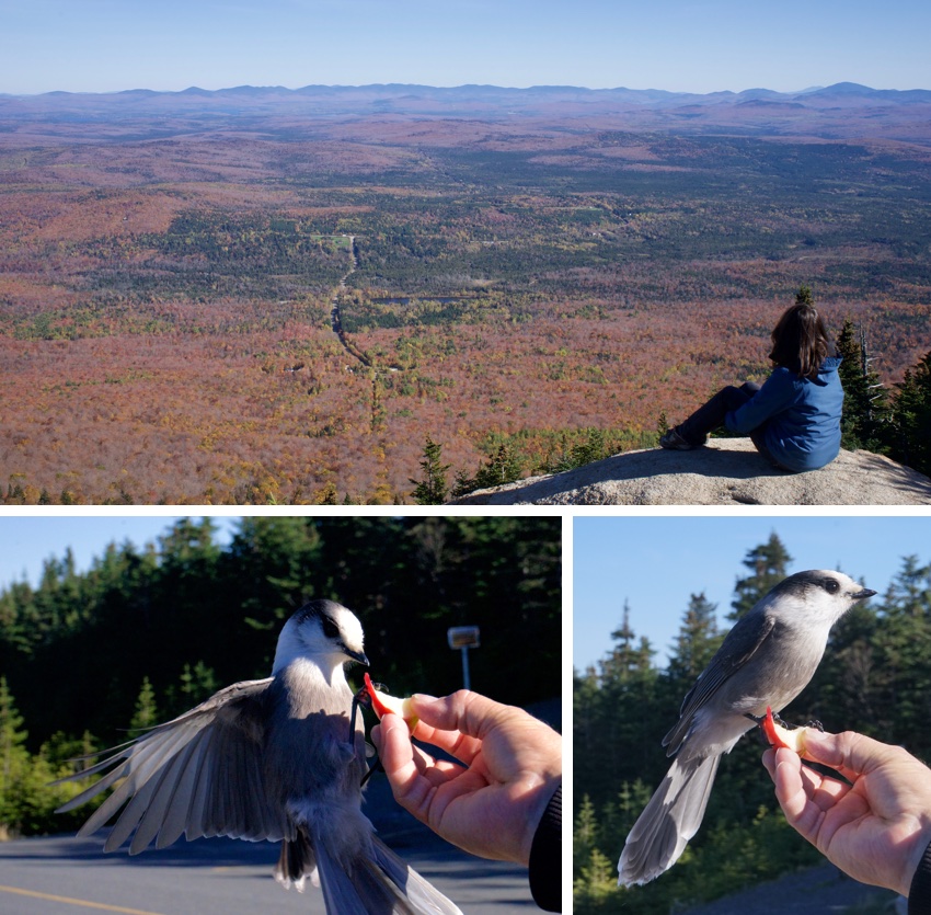 Mont Megantic
