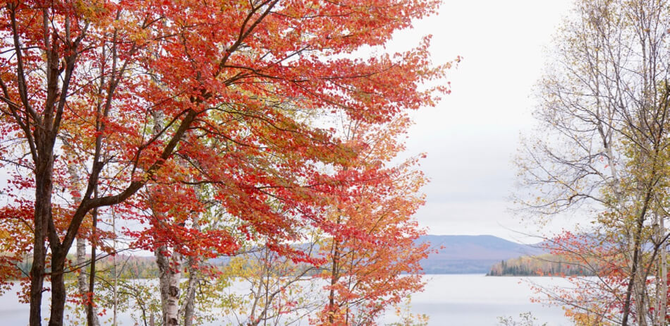Lac Megantic