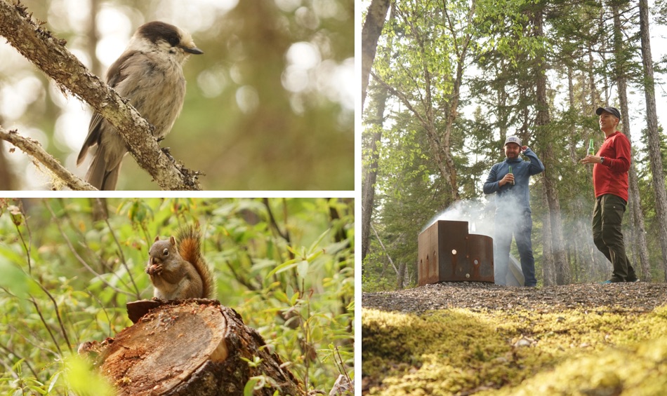 Terra Nova Nationalpark