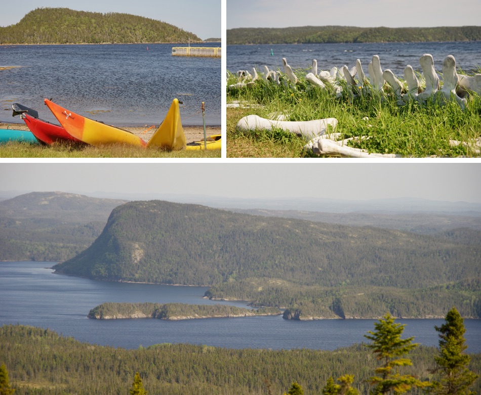 Terra Nova Nationalpark